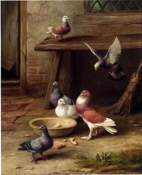 unknow artist Pigeons 194 China oil painting art